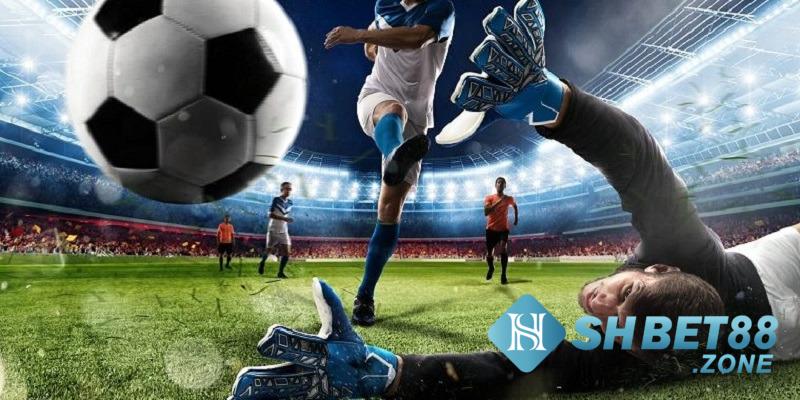 Câu hỏi thường gặp khi tham gia chơi sảnh Saba Sports tại Shbet