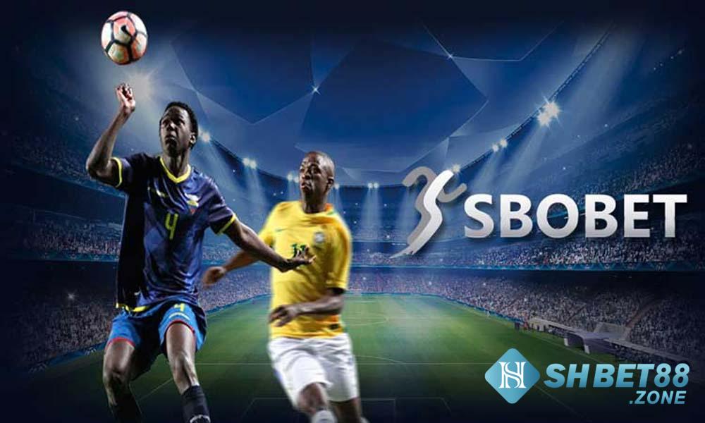 Sảnh Sbobet Shbet là gì? Vì sao nên chọn cá cược tại Sbobet Shbet?